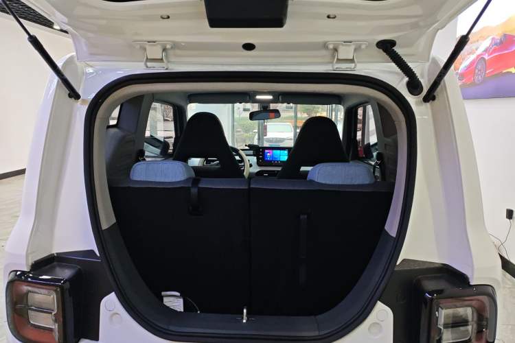 Used  Panda 2024 Panda Mini 200km Endurance Bear
