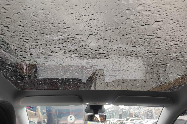 Used Tesla Model Y 2025 Long-Range All-Wheel Drive First Edition
