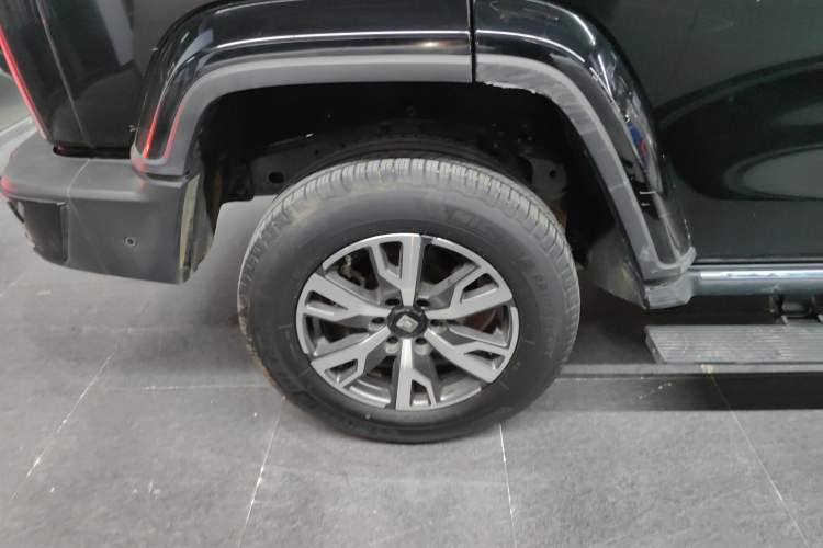 Used Tank 300 2024 2.0T Crosser
