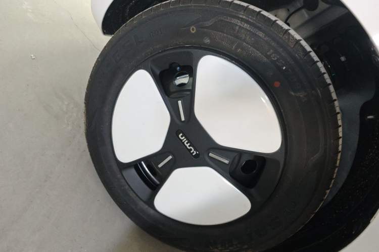 Used  Lumin 2024 130km Qingyue Version
