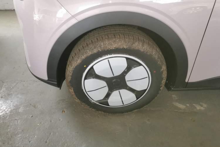 Used  Geome 2025 310km Youth Edition
