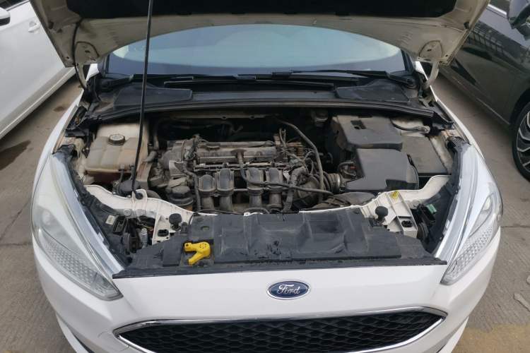 Used Ford Focus 2017 Hatchback 1.6L Automatic Comfort Plus SmartDrive Edition
