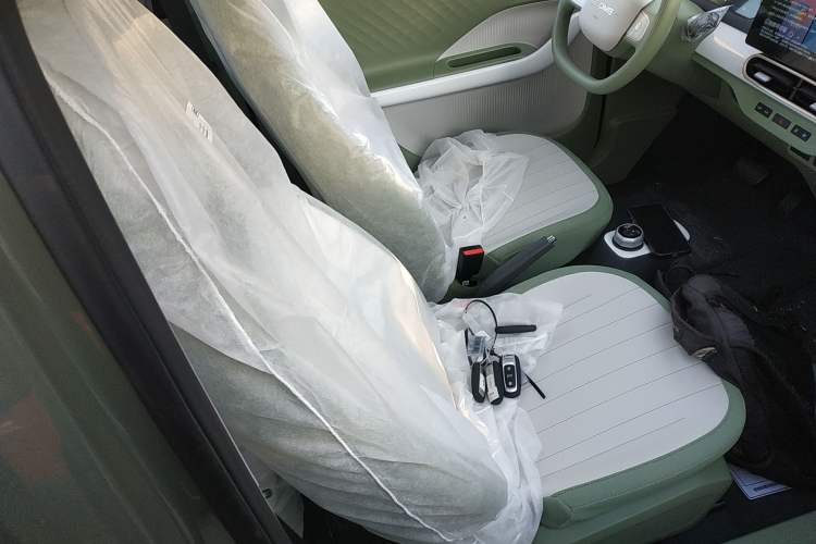 Used  Panda 2025 210km Panda Rider
