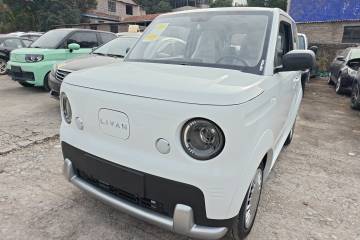 Used Livan Blue Balloon 