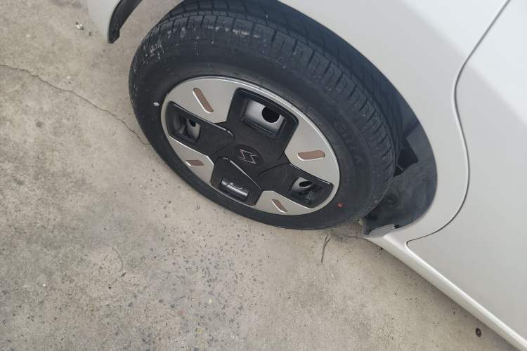 Used SOL E10X 2022 Flower Fairy Design Dandelion
