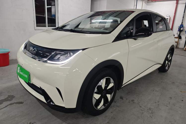 Used BYD Dolphin 2025 420km Free Edition
