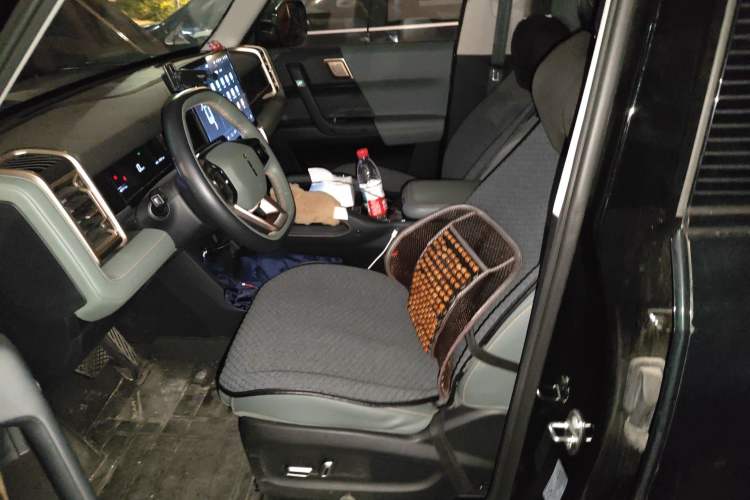 Used  03 2024 501km Two-Wheel Drive Long-Range Version