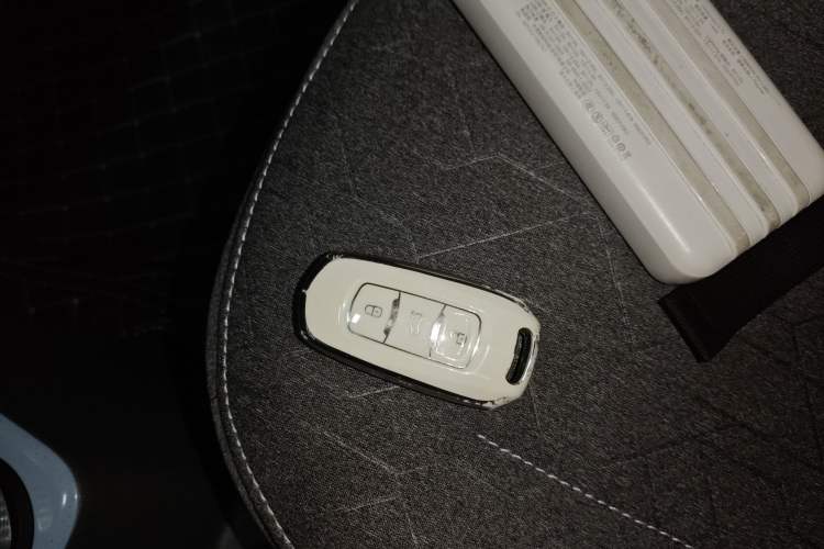 Used  Panda 2024 Panda Mini 200km Endurance Bear
