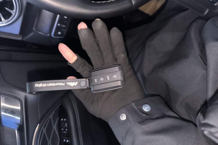 Used Tank 300 2024 2.0T Conqueror