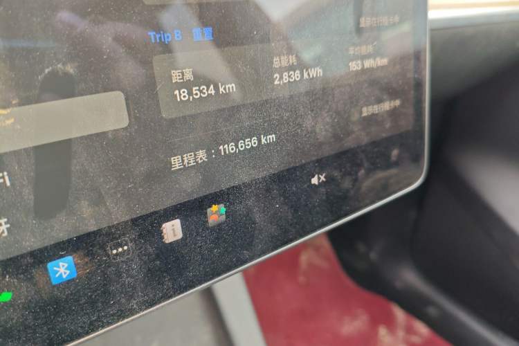 Used Tesla Model Y 2021 Standard Range Rear-Wheel Drive Version
