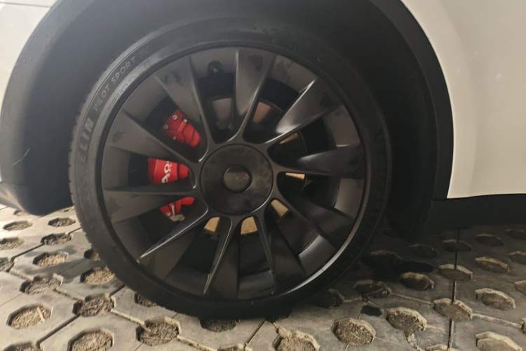 Used Tesla Model Y 2021 Standard Range Rear-Wheel Drive Version
