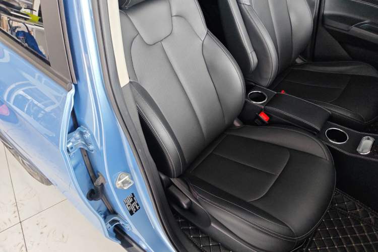 Used NETA V 2021 Long-Range Entertainment Edition Upgrade Model
