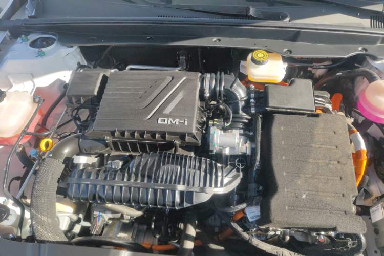 Used BYD Qin PLUS 2024 HONOR Edition DM-i 55KM Leading Model
