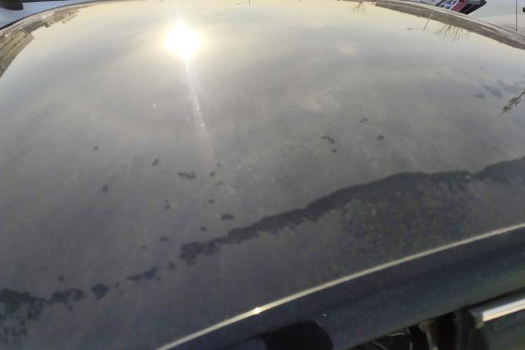 Used Volkswagen Lavida 2019 Lavida Start 1.5L Automatic Trendy Version China VI Standard
