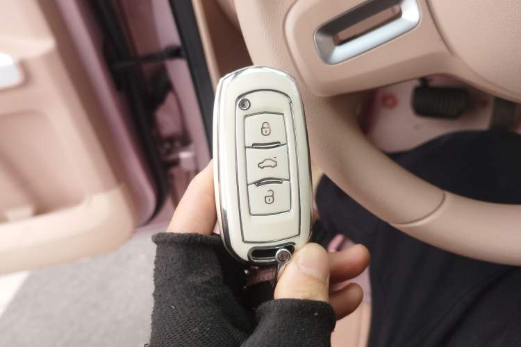 Used Geely Galaxy Panda 2023 Panda Mini 200km Endurance Bear