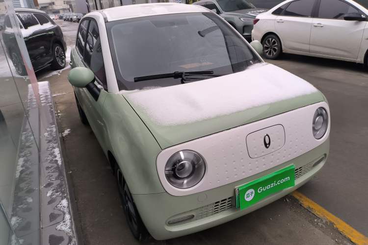 Used ORA Black Cat 2022 351 km Comfort Version Ternary Lithium
