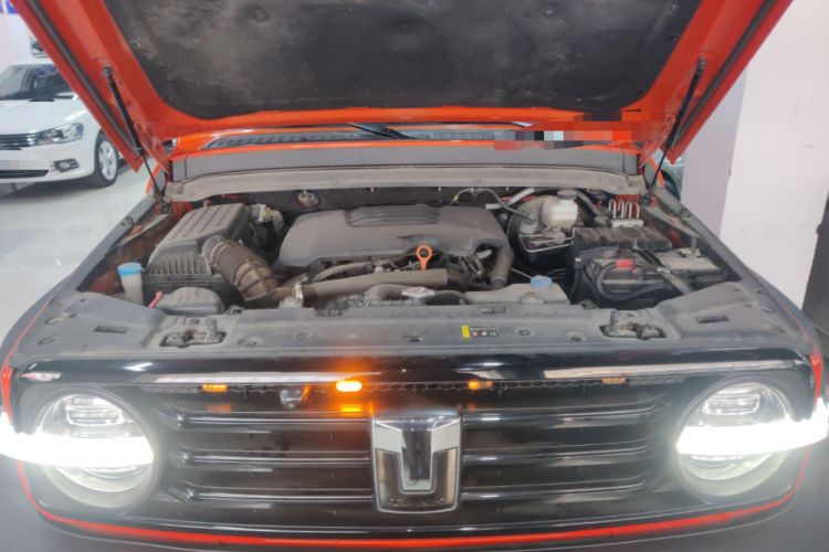 Used Tank 300 2021 Off-Road Edition 2.0T Conqueror