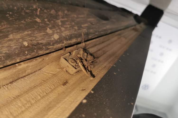 Used Volkswagen  2019 2.0 TSI GTI China V Standard