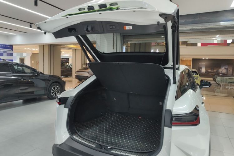 Used Lexus RZ 2023 450e All-Wheel Drive Luxury Edition
