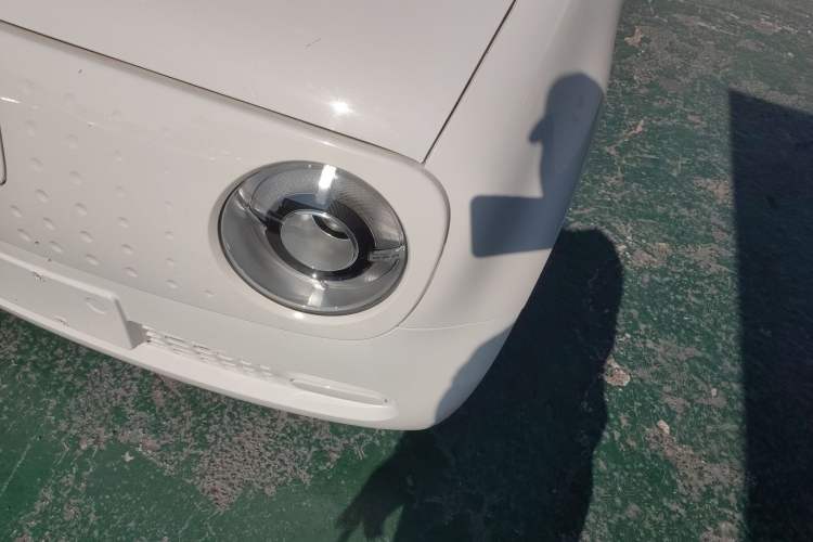 Used ORA Black Cat 2021 301km Cute Pet Edition
