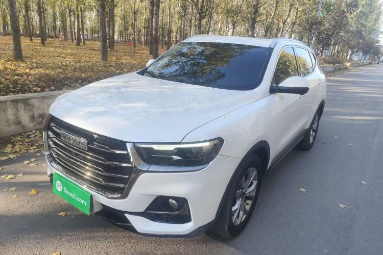 Used Haval H6 2021 National Trend Edition 1.5T Automatic Champion Version
