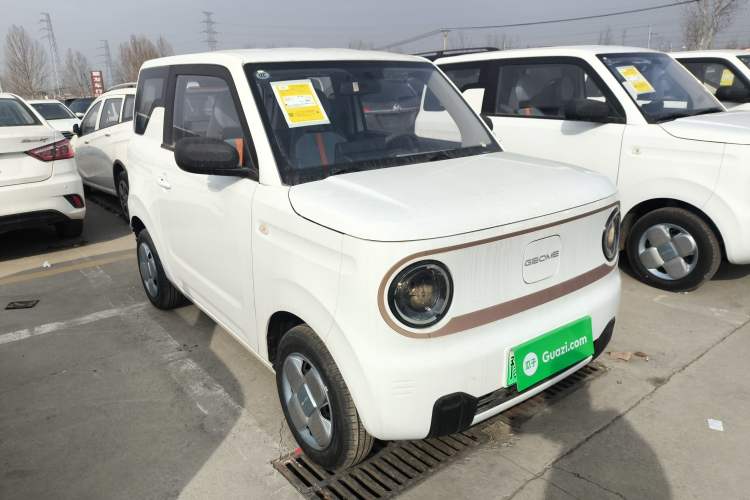 Used  Panda 2024 Panda Mini 200km Endurance Bear
