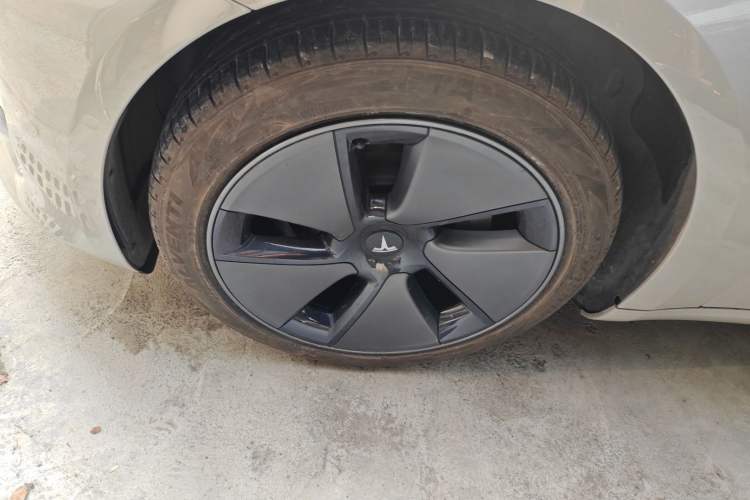 Used Tesla Model 3 2022 Rear-Wheel-Drive Version
