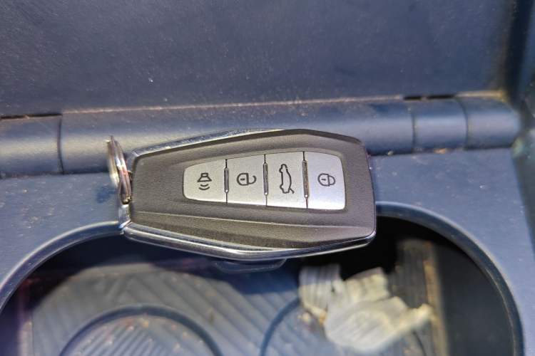 Used Geometry E Firefly 2023 401KM Lightning Tiger 5-Seater
