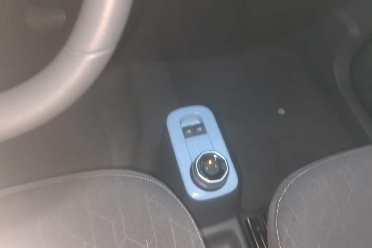 Used  Panda 2024 Panda Mini 200km Endurance Bear
