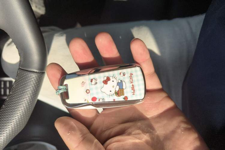 Used Audi A4L 2024 40 TFSI Luxury Dynamic Edition