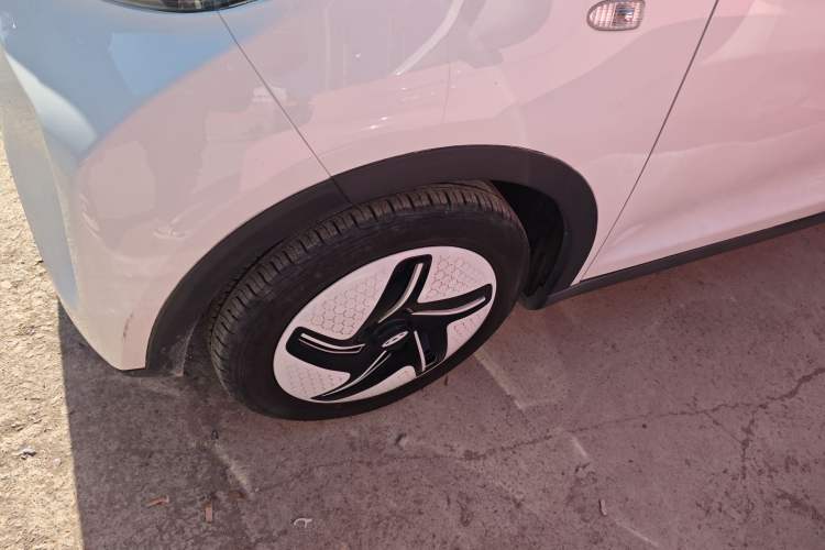 Used Chery Little Ant 2024 251km Love Edition