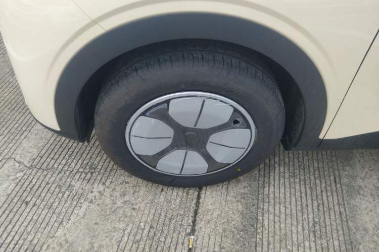 Used  Geome 2025 310km Youth Edition
