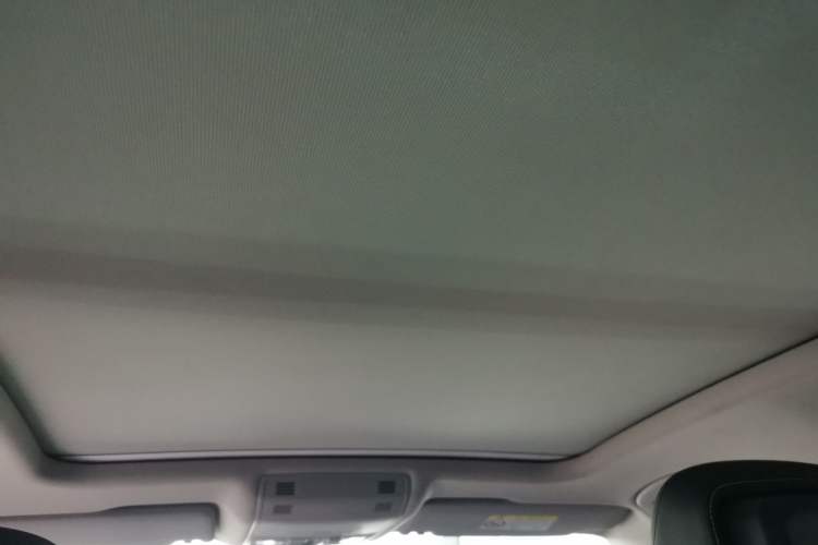 Used Volkswagen Magotan 2020 330TSI DSG Luxury Edition