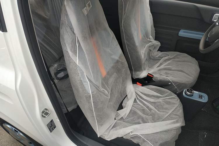 Used  Panda 2024 Panda Mini 200km Endurance Bear
