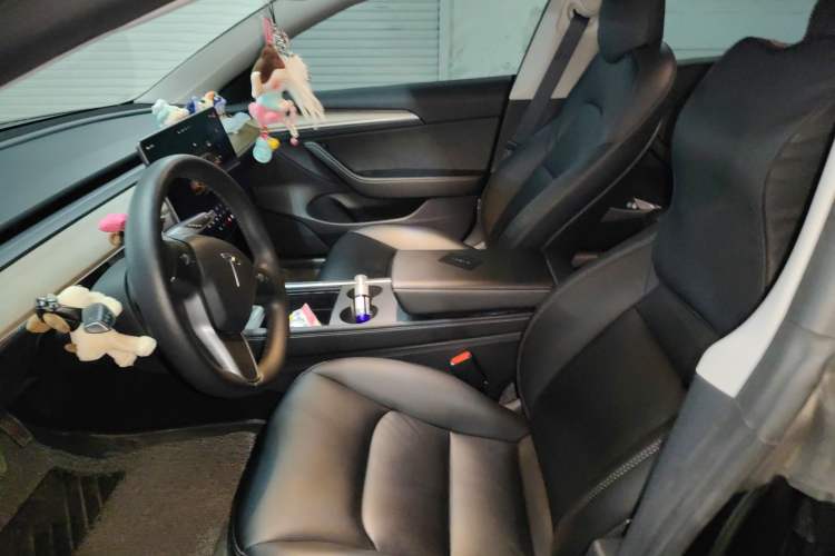 Used Tesla Model 3 2022 Rear-Wheel-Drive Version