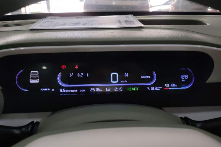 Used  Panda 2025 210km Panda Rider