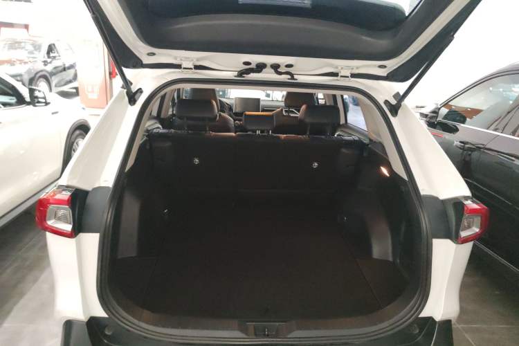 Used Toyota Wildlander 2021 2.0L CVT Two-Wheel Drive Luxury Edition
