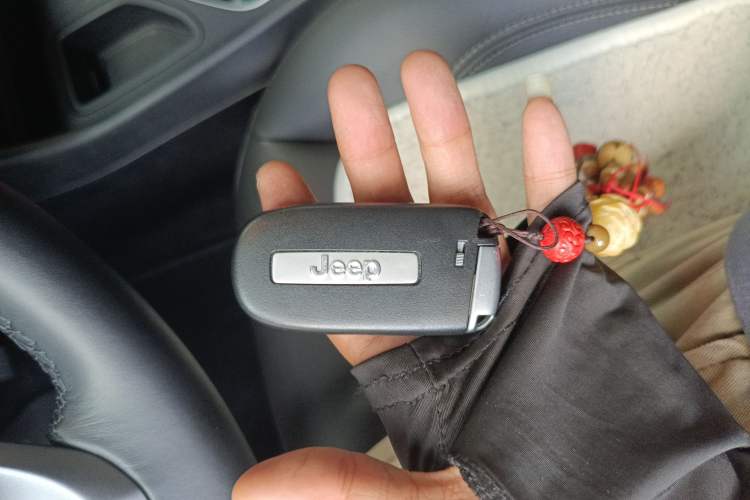 Used  Cherokee 2020 2.0T Two-Wheel Drive Leading Edition
