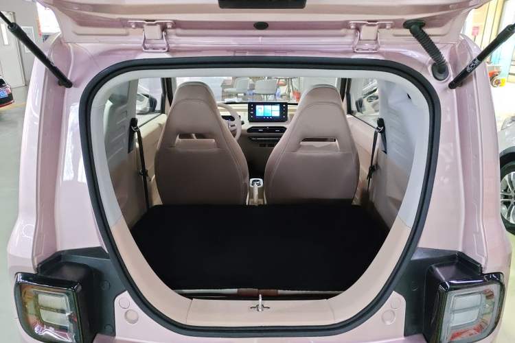 Used  Panda 2024 Panda Mini 200km Longteng PRO Edition
