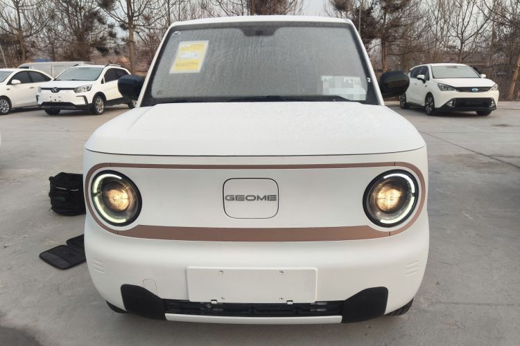 Used  Panda 2024 Panda Mini 200km Endurance Bear
