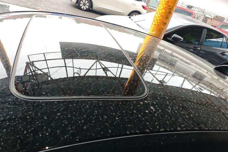 Used Honda Accord 2024 260TURBO Luxury Edition