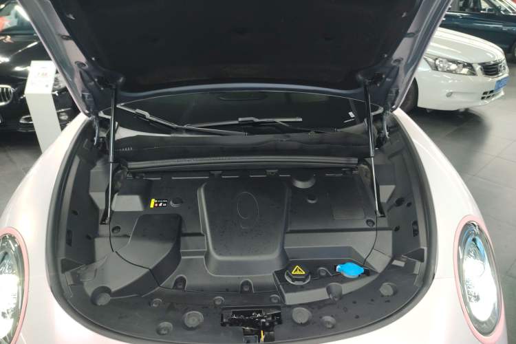 Used ORA Lightning Cat 2022 555 km Luxury Edition
