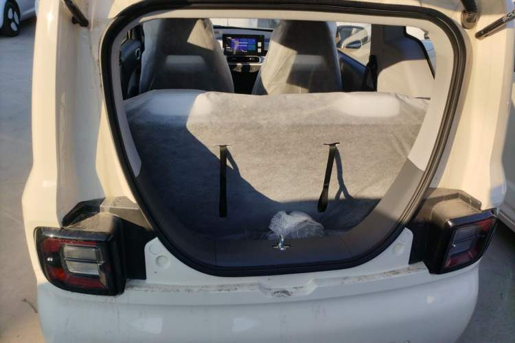 Used  Panda 2025 210 km – Yuanqi Bear
