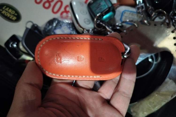 Used Li Auto L9 2024 Pro Model