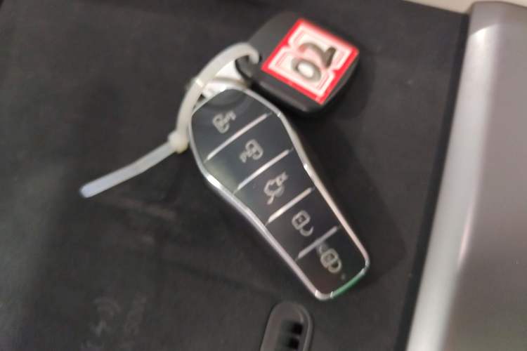 Used BYD Xia 2025 DM-i 1.5T 180km Excellence Model
