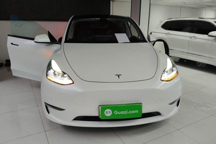 Used Tesla Model Y 2021 Standard Range Rear-Wheel Drive Version
