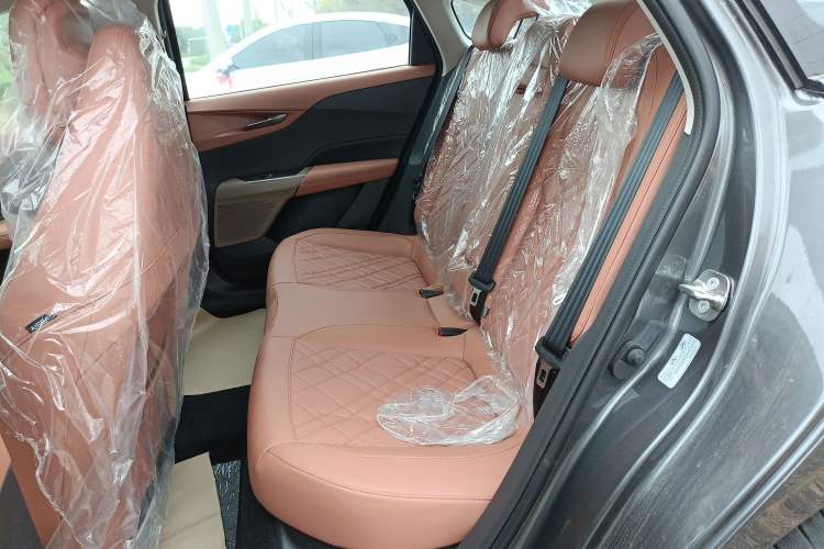 Used  A05 2024 Truly Delicious Version 145 Beyond-Excellent Type
