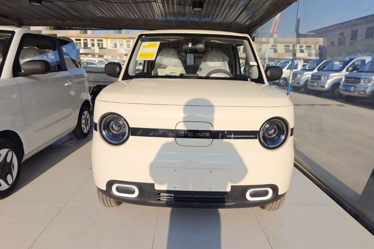 Used  Panda 2025 210 km – Yuanqi Bear