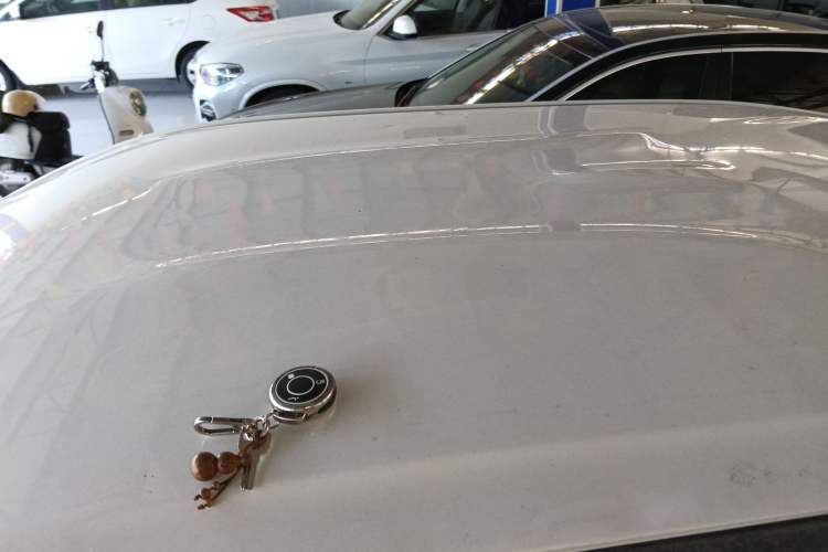 Used NETA U 2021 Pro 400 Cruiser Edition