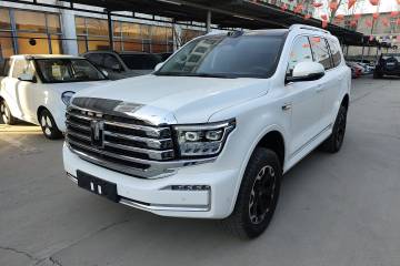 Used Tank 500 New Energy 